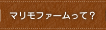 マリモファームって？
