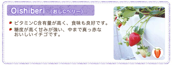 おいCベリー